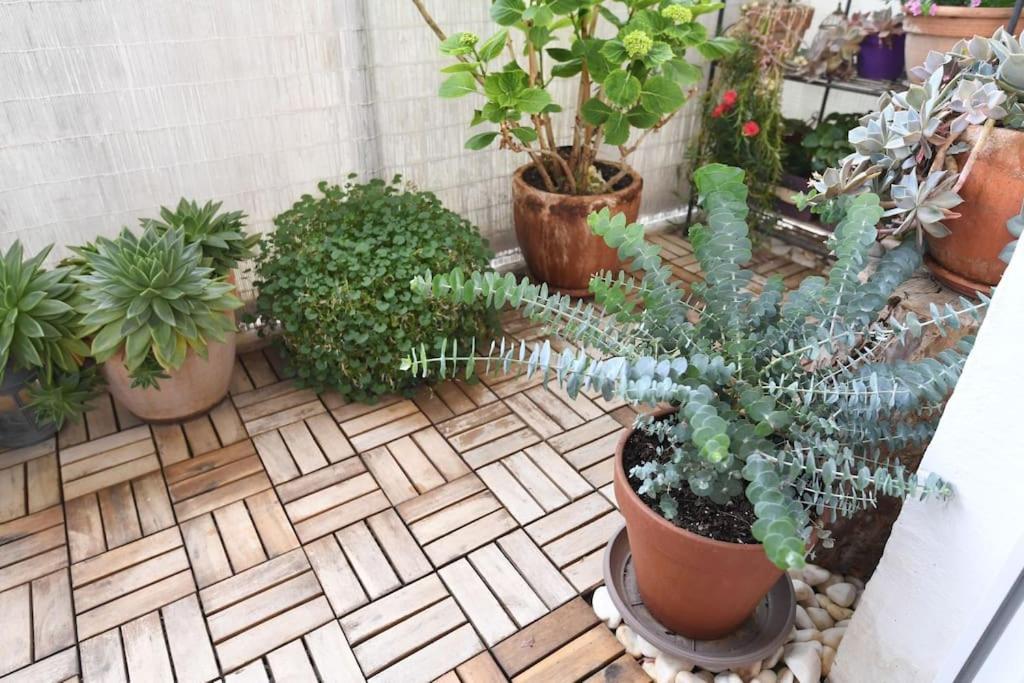 Apartman Ilijana Zadar Exteriér fotografie