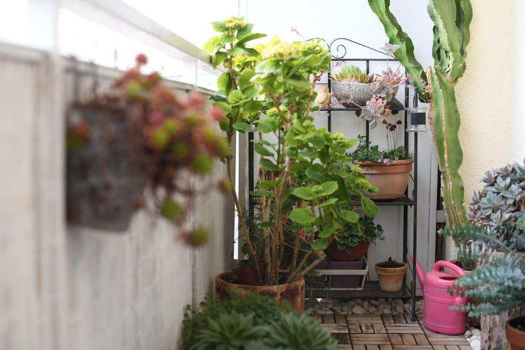 Apartman Ilijana Zadar Exteriér fotografie